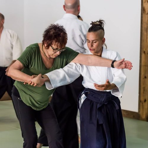 Beginner Intro to Aikido in the Hudson Valley