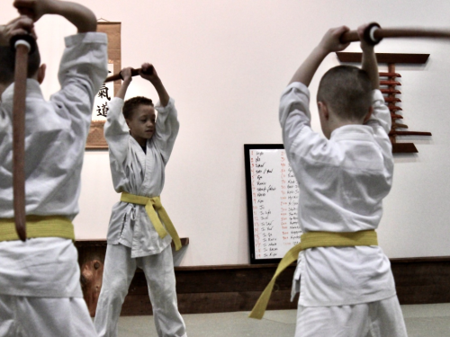 Aikido for Kids